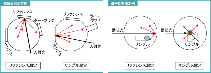 測定例